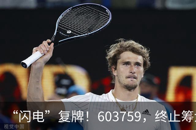 “闪电”复牌！603759，终止筹划重大事项