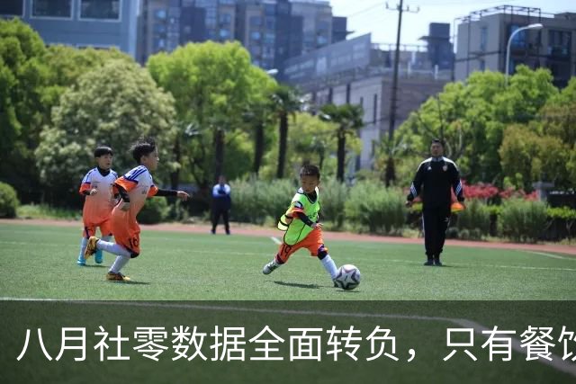 八月社零数据全面转负，只有餐饮勉强为正，网友说：赶紧把吃的价格拉起来！