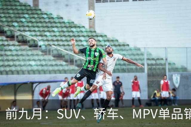 前九月：SUV、轿车、MPV单品销量Top20盘点