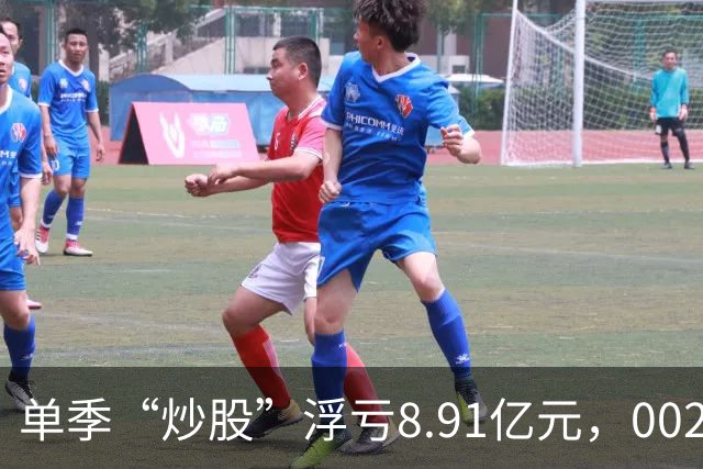 单季“炒股”浮亏8.91亿元，002074跌停
