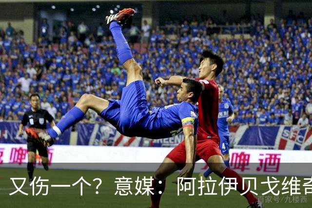 又伤一个？意媒：阿拉伊贝戈维奇在波黑比赛中因肌肉不适被换下