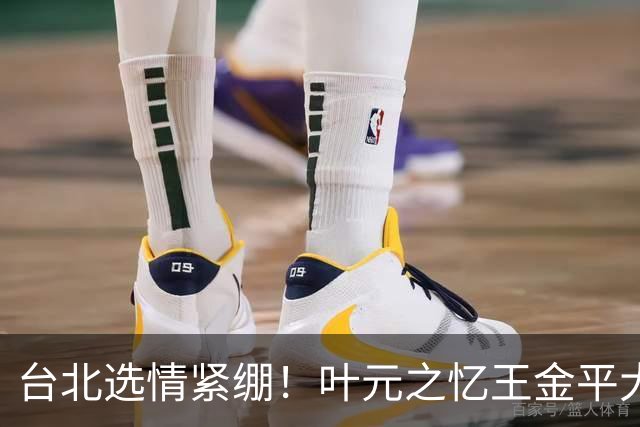 台北选情紧绷！叶元之忆王金平大罢免最后一周示警“只有你危险”