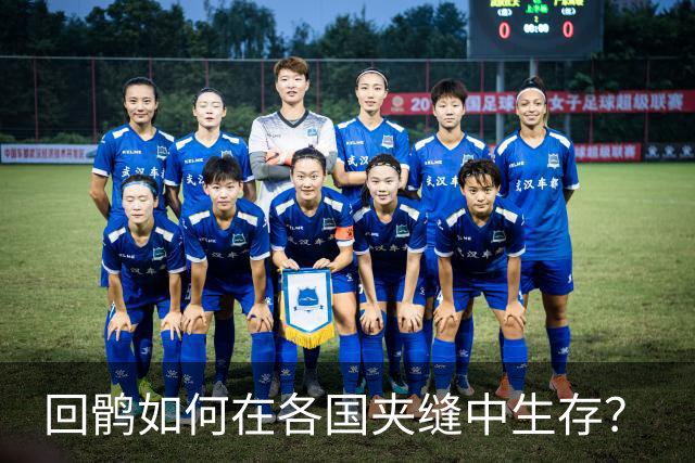 回鹘如何在各国夹缝中生存？