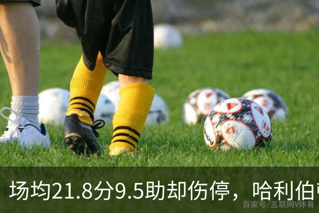 场均21.8分9.5助却伤停，哈利伯顿将缺席一段时间