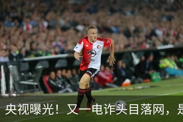 央视曝光！又一电诈头目落网，是副总司令，奢侈品成堆，豪车无数