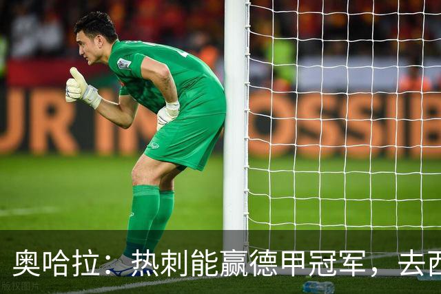 奥哈拉：热刺能赢德甲冠军，去西甲能和皇萨争冠