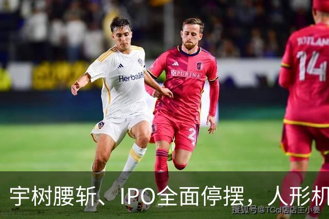 宇树腰斩、IPO全面停摆，人形机器人泡沫破了？
