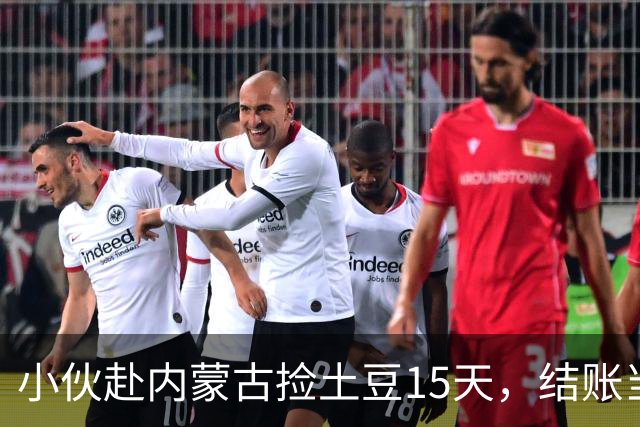 小伙赴内蒙古捡土豆15天，结账当场愣住：这钱来得太值了！