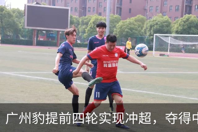广州豹提前四轮实现冲超，夺得中甲冠军
