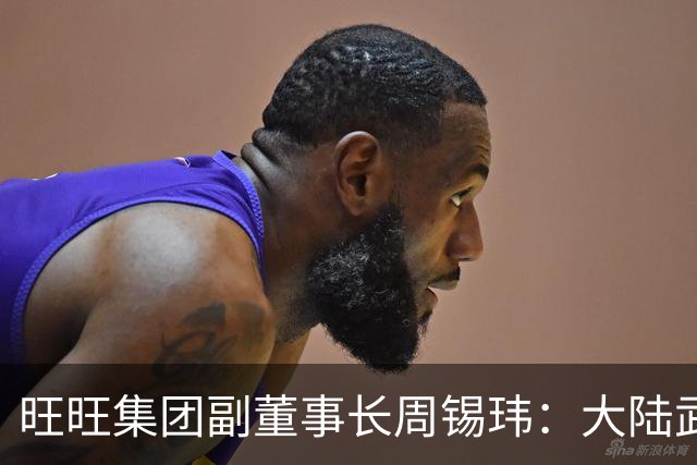 旺旺集团副董事长周锡玮：大陆武器没实战经验，你试试看？
