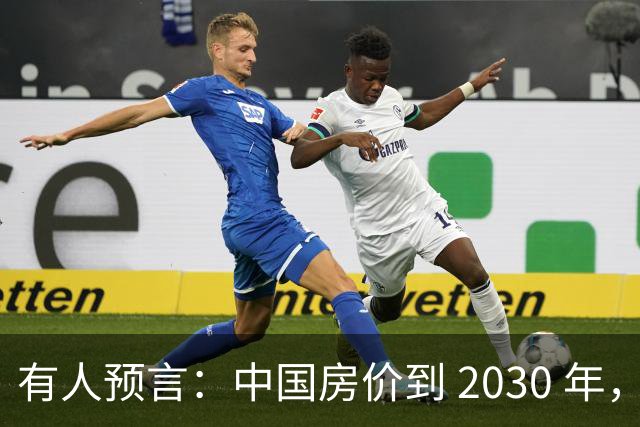 有人预言：中国房价到 2030 年，大概率将会是这样的，要做准备喽