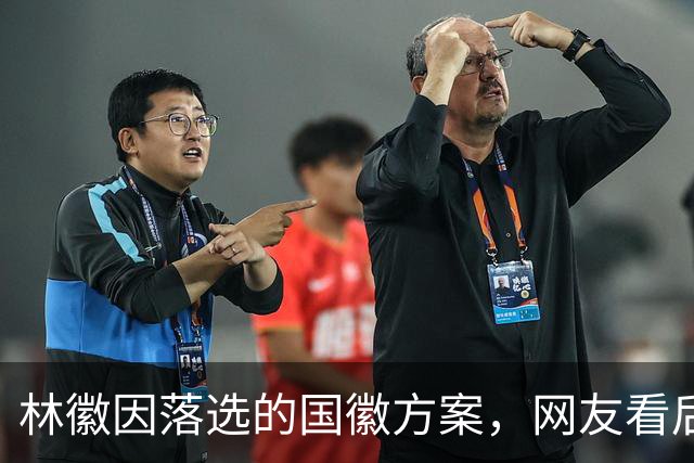 林徽因落选的国徽方案，网友看后感叹：审美确实一绝，但真不合适