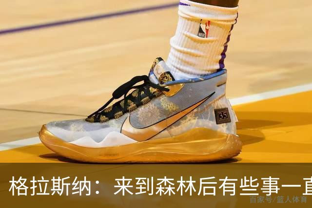 格拉斯纳：来到森林后有些事一直让我不满，是时候不再妥协了