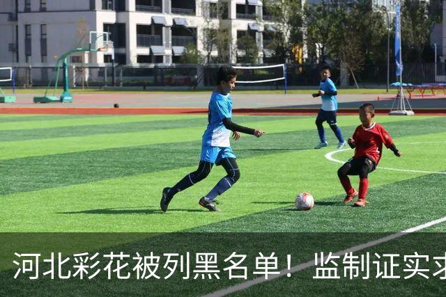 河北彩花被列黑名单！监制证实求偿315万：开拍前两天说不演