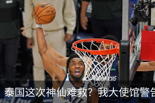 泰国这次神仙难救？我大使馆警告，大量国人成猪仔，谁在自寻死路