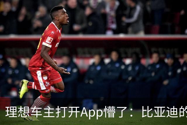 理想车主打开App懵了：比亚迪的桩，怎么成了我的“长途靠山”？