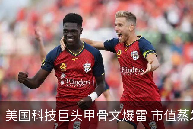 美国科技巨头甲骨文爆雷 市值蒸发1500亿元