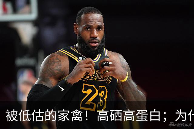 被低估的家禽！高硒高蛋白；为什么说香菜，是一种对大脑不错的蔬菜？