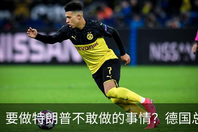 要做特朗普不敢做的事情？德国总理默茨：不希望与中国爆发贸易战