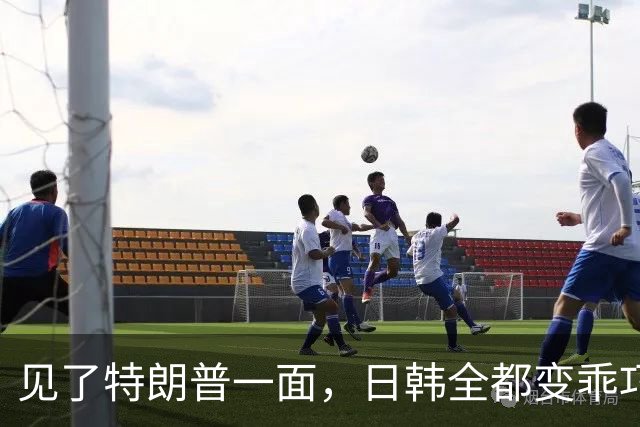 见了特朗普一面，日韩全都变乖巧，冲着中美大事，说出一样的实话