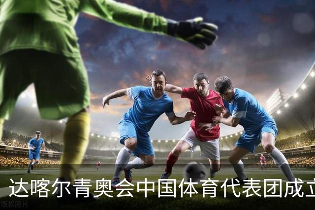 达喀尔青奥会中国体育代表团成立-国际在线