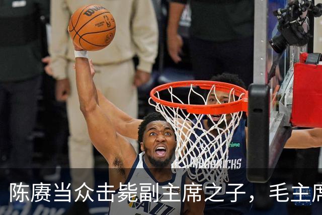 陈赓当众击毙副主席之子，毛主席一言不发，就送了一箱东西
