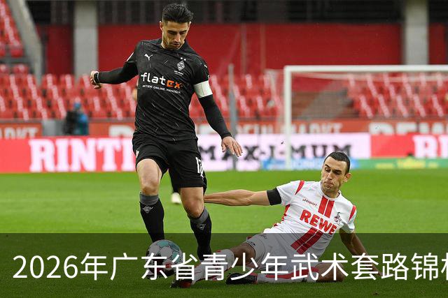 2026年广东省青少年武术套路锦标赛在佛山举行