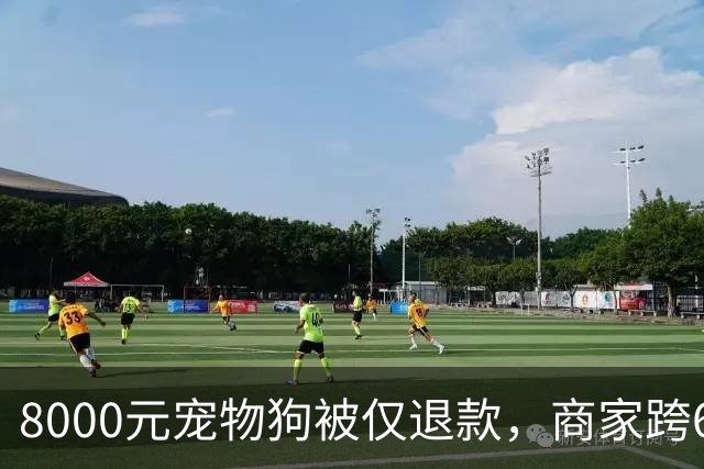 8000元宠物狗被仅退款，商家跨600公里寻狗，顾客开始叫屈，实体店网店不该双标